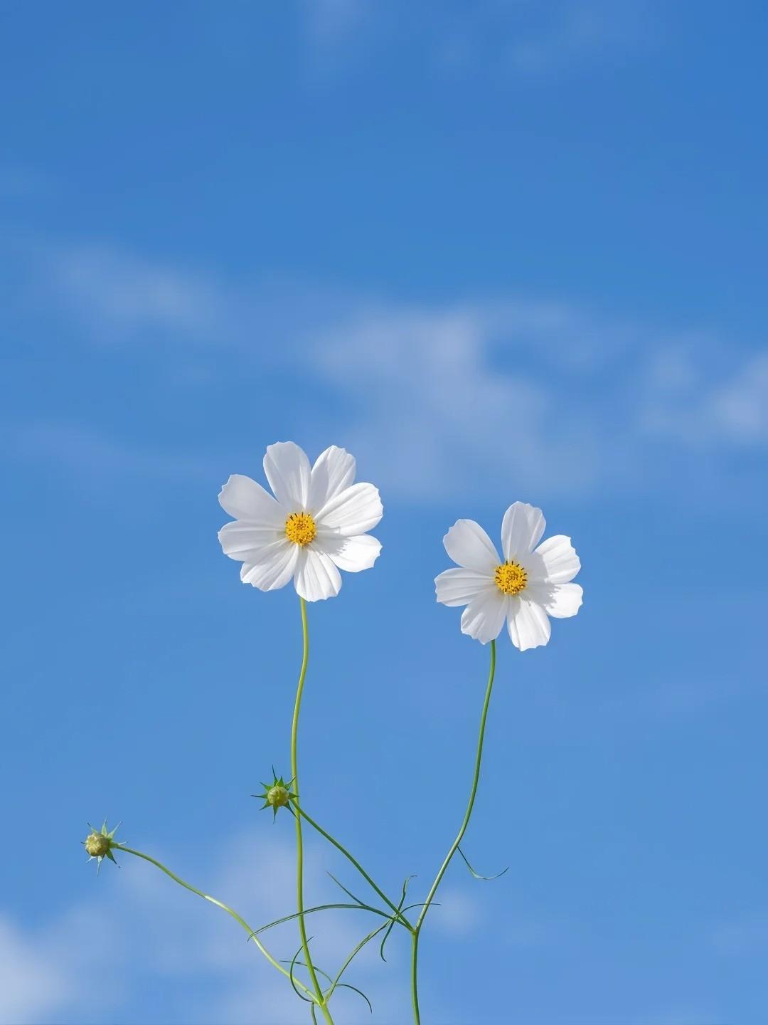 怀孕九月，丈夫带我去漂流
